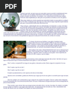 Aquariofilia - Dicas Para Manter Seus Peixes Saudáveis 1pg - by CHERINHO