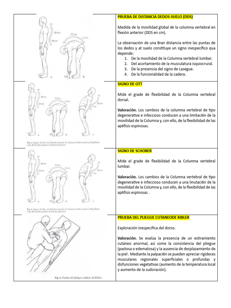Pruebas de Evaluación de Columna Vertebral | PDF | Ciencia y matemáticas