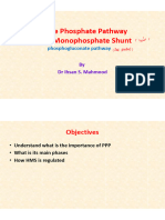 PPP-HMS-phosphogluconate Pathway 2023