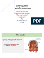 The Oral Cavity Lecture 3