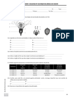 Ficha Formativa 9