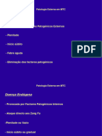 Patologia Externa Introdução e 6 Meridianos