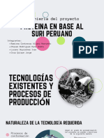 Ingenieria Del Proyecto - Proteina de Suri