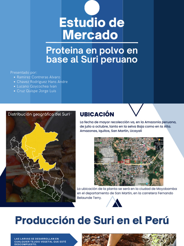 Suplemento Proteico 