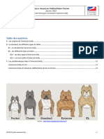 Fiche SCC American Bully