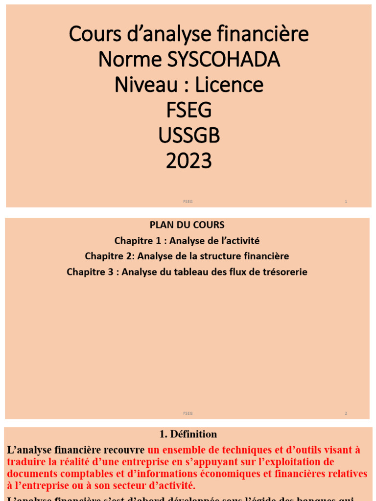 Chap1 Analyse de L Activite-1-1 | PDF