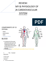 Anatomy of Heart 1