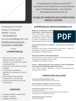 CV Professionnel