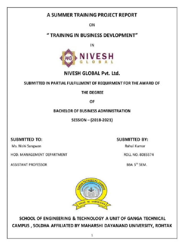 Business Development Summer Internship Project Report | PDF
