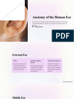 Anatomy of The Human Ear