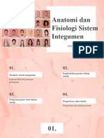 Anatomi Dan Fisiologi Sistem Integumen