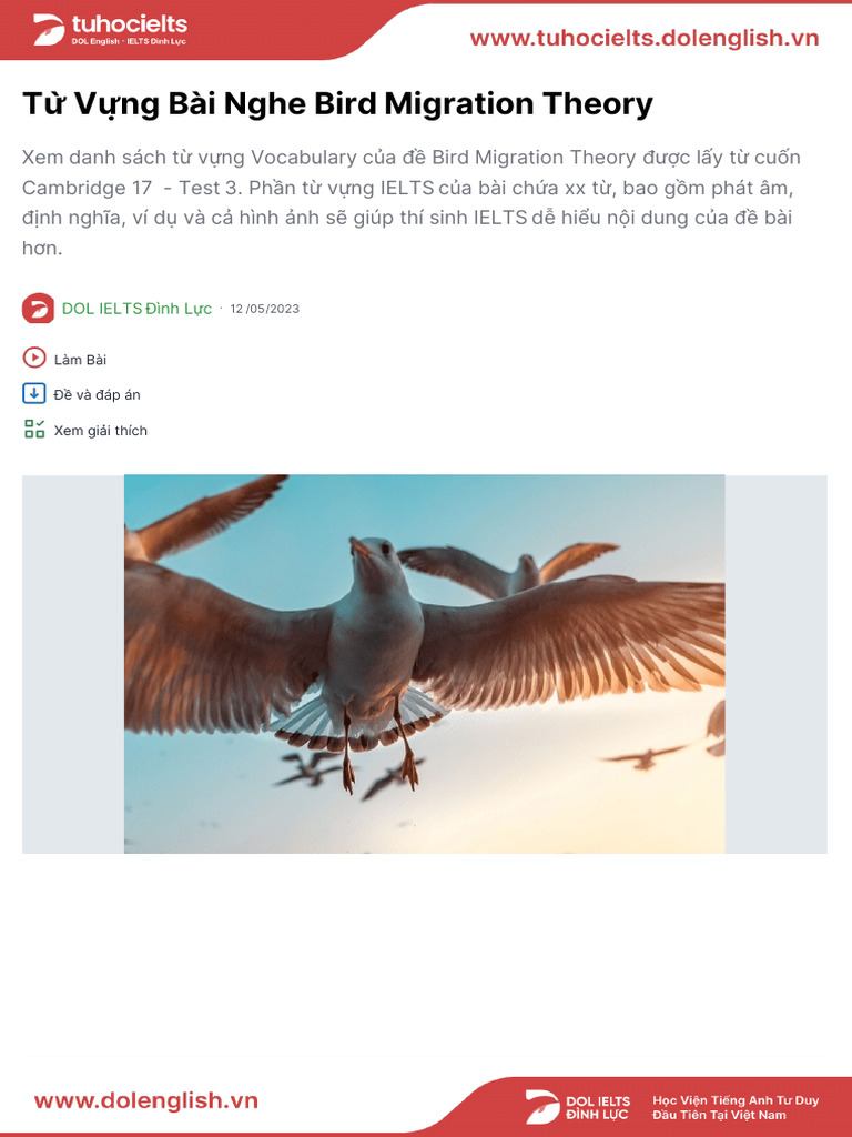 Bird Migration Theory | PDF