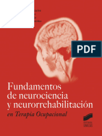 Fundamentos de Neurociencia y Neurorrehabilitación en Terapia Ocupacional