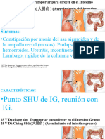 25 V Dà Cháng Shū (大腸俞) Transportar para ofrecer en el Intestino Grueso