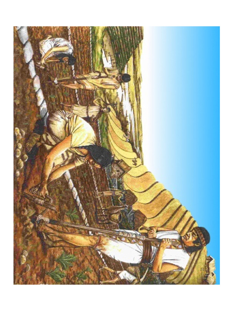 Historia Agricultura Pdf