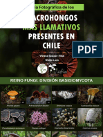 Guía Fotográfica Macrohongos Llamativos en Chile (2021) VSV-WL