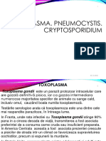 Curs 5 Toxoplasma. Pneumocystis. Cryptosporidium