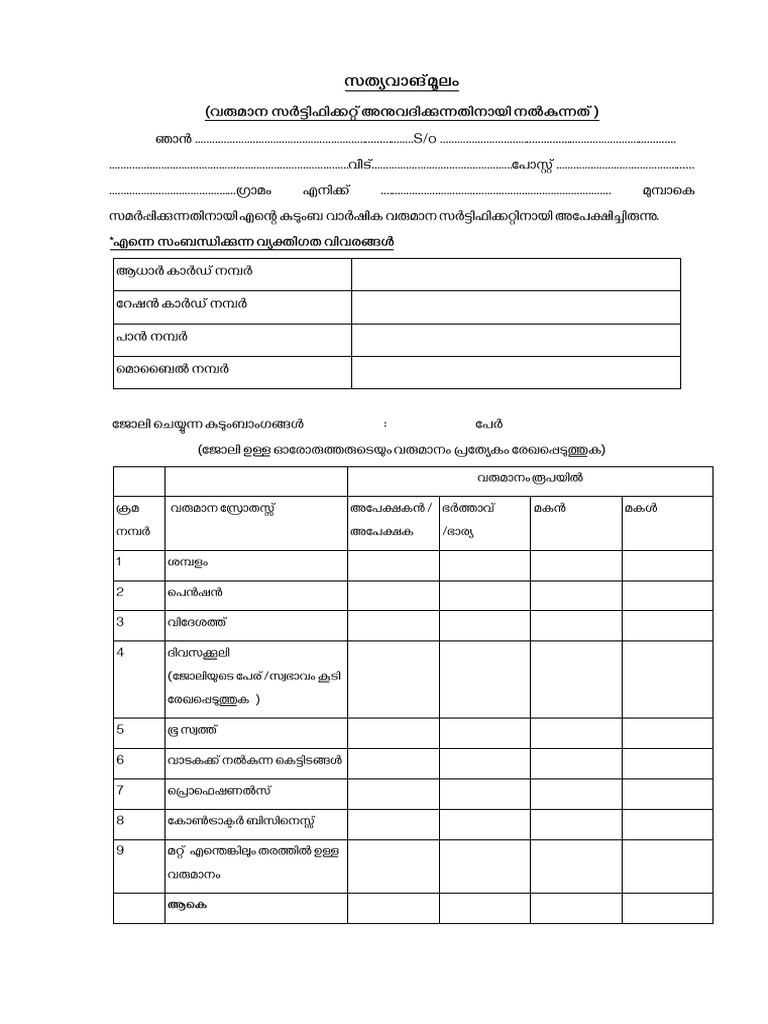 AFFIDAVIT INCOME 3 3 PDF