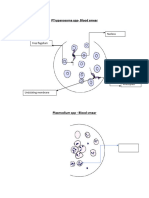 Parasitology Practcal 1