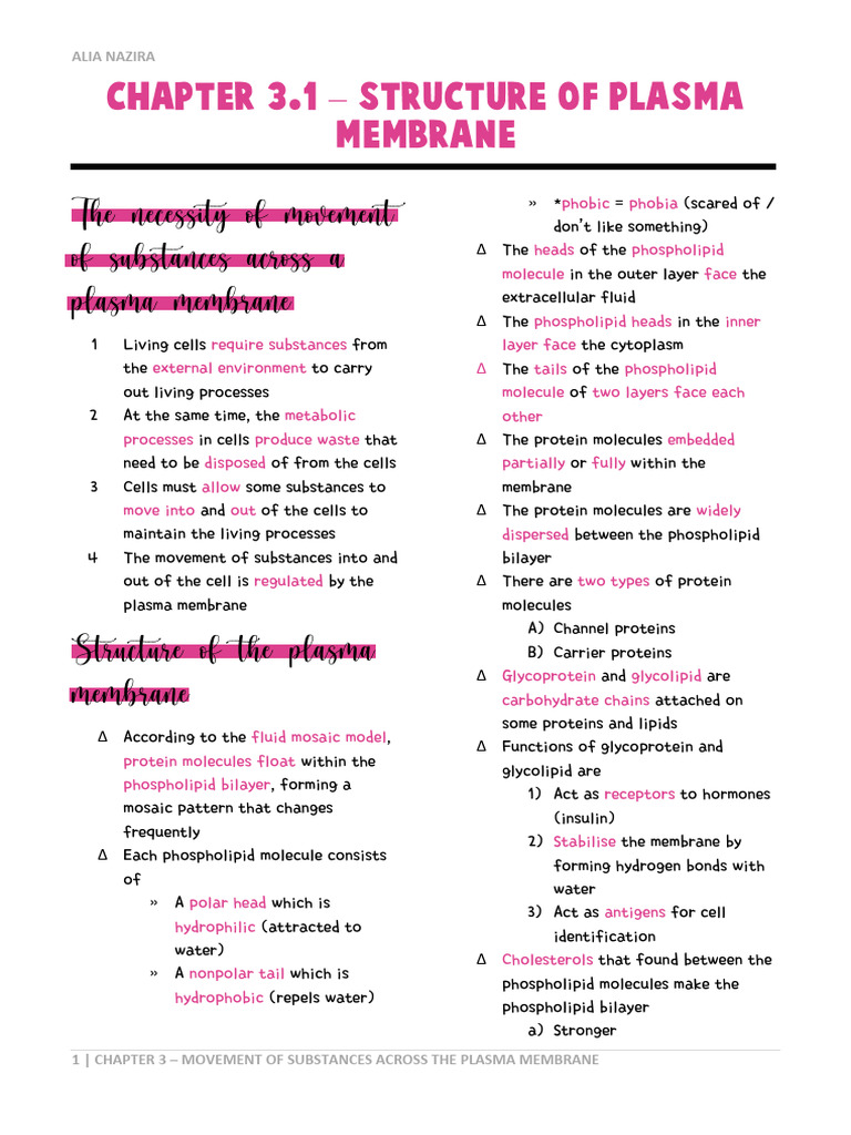 Chapter 3 | PDF