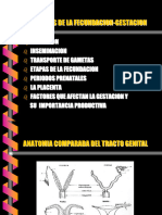 16 - Fecundacion-Gestacion-Parto