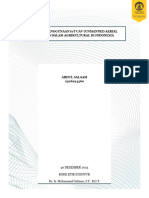 Abdul Salaam - UAS - 2306294360 - DAMPAK PENGGUNAAN IoT UAV (UNMANNED AERIAL VEHICLE) DALAM AGRIKULTURAL DI INDONESIA