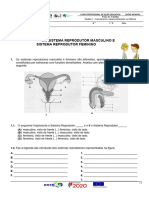 FT SI M1.1.1. Sistemas Reprodutores