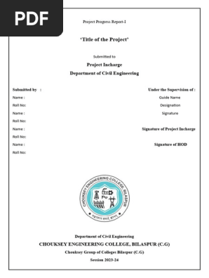 Project Progress Report Format