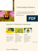 Understanding Pollination