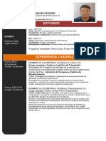 Curriculum Vitae Angel Morales