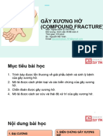 Gãy Xương Hở