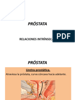 Próstata Relaciones