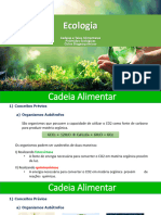 2 - Ecologia - Cadeias e Teias Alimentares