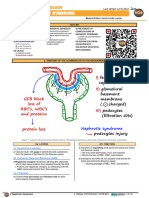 Renal Pathology - 012) Nephrotic Syndrome (Notes)