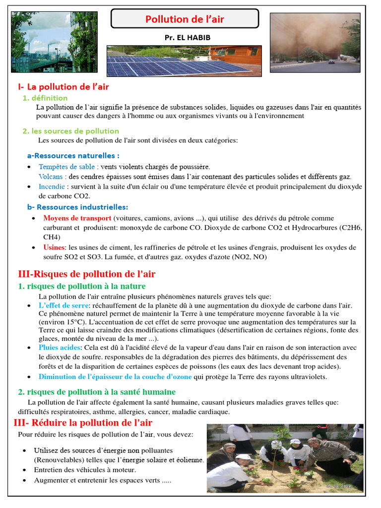 Résumé sur la pollution de l'air | PDF