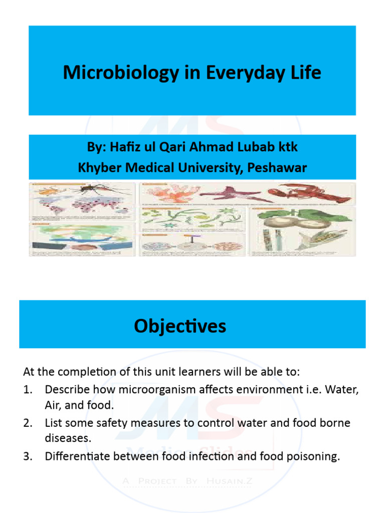 Microbiology's Role in Daily Life | PDF | Foodborne Illness | Infection