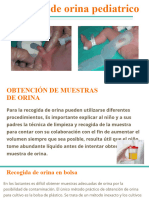 Examen de Orina Pediatrico (1) ...