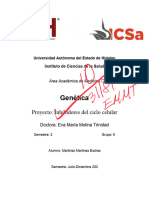 InhibidoresFinal PDF