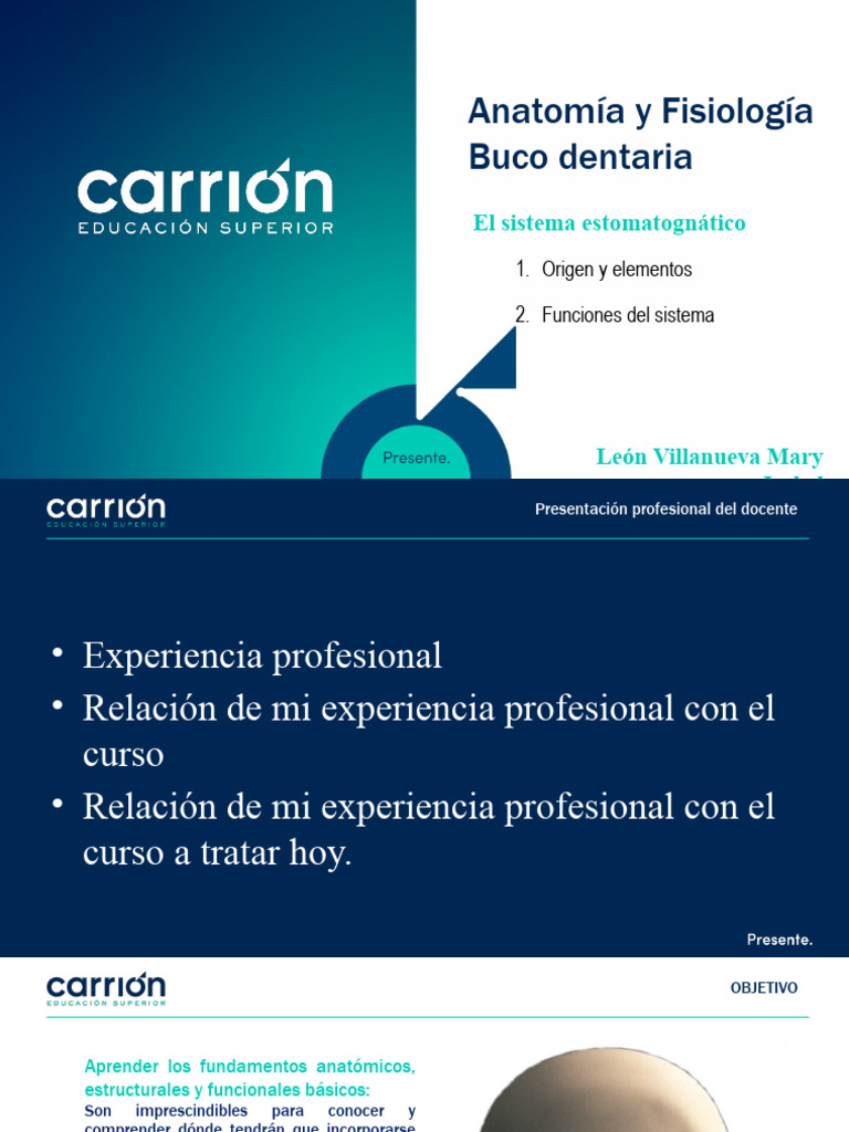 Ppt institucional 2023 clase modelo pdf boca es fago