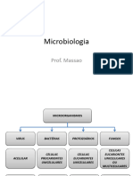 Caracteristicas Dos Principais Microorganismos