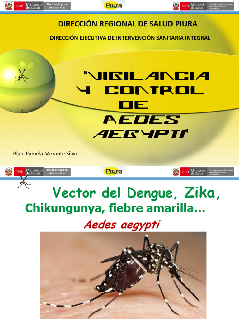 Control De Aedes Aegypti Y Enfermedades PDF Aedes Aegypti Insectos