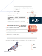 Ficha de Trabalho 1. Sistema Digestivo