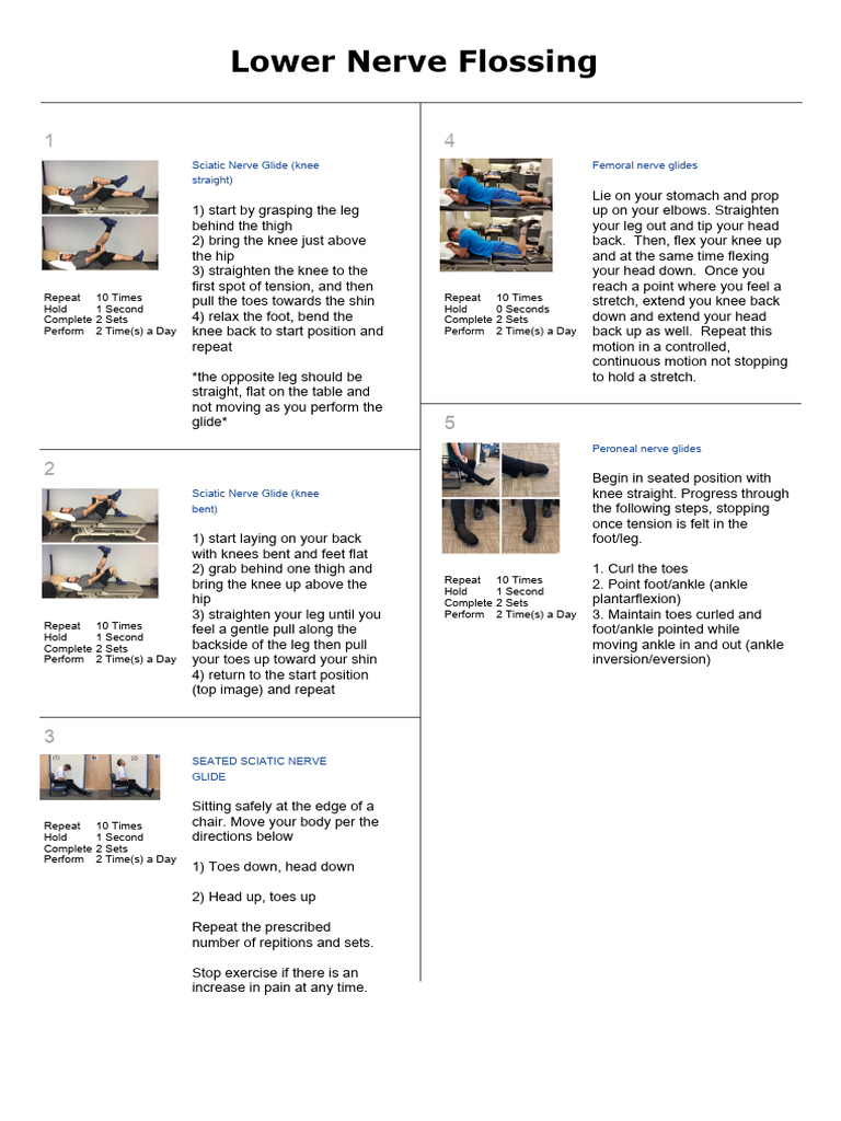 LowerNerve_Flossing_ PDF Anatomical Terms Of Motion Knee