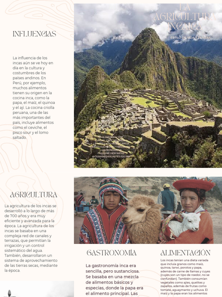 Agricultura Inca Israel Cruz Delgado - 240109 - 191110 | PDF | Imperio ...