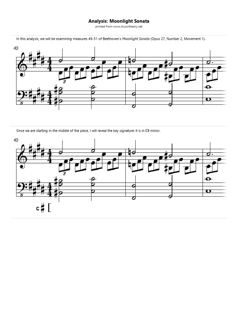 Ludwig van Beethoven visual data 6
