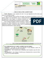 Atividade 9 4o Ano CN Cadeias e Teias Alimentares Simples