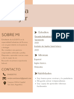 Curriculum Vitae CV Trabajo