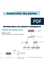 Séance 6 Amélioration Des Plantes