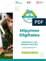 Anexos de Bases Finales Mipymes Digitales 15.09.23