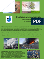 Contaminación Ambiental